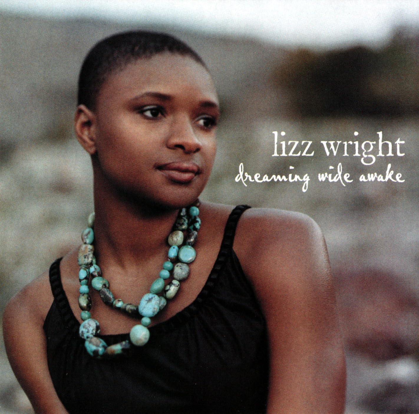 Lizz Wright- Dreaming Wide Awake